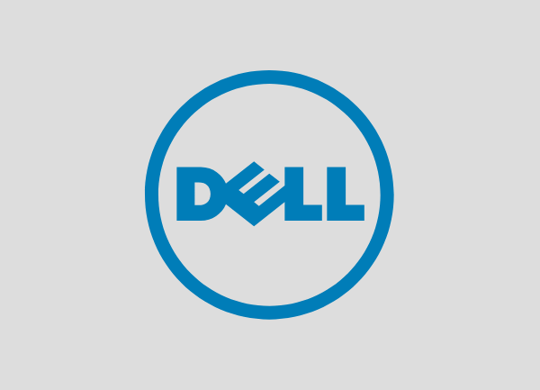 Dell RAID 10 Datenrettung