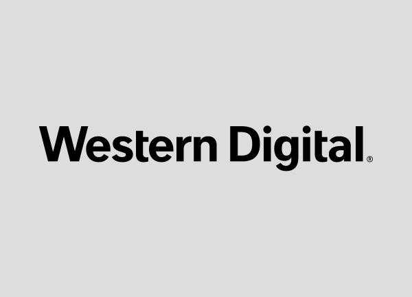 Western Digital Datenrettung aller Speichermedien-Hersteller in Holstein