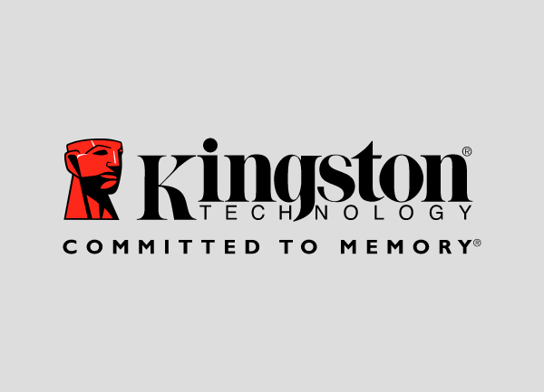 Kingston Datenrettung Siegen