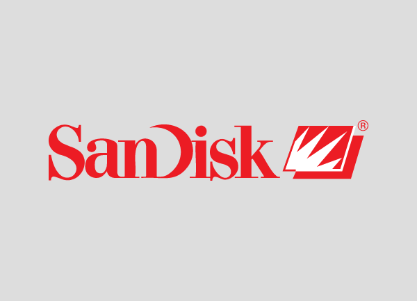 Sandisk SSD-Datenrettung